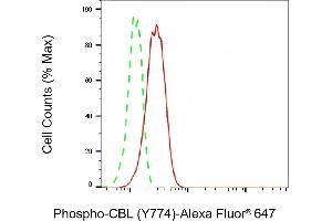 Flow cytometric analysis of Phospho-CBL (Y774) expression in HT- cells using Phospho-CBL (Y774) antibody (ABIN7797878), 1:2,000). (Rekombinanter CBL Antikörper  (pTyr774))