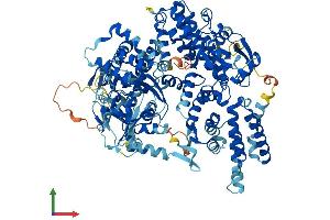 AlphaFold protein structure predicition of Human Recombinant RAPGEF4 Protein, UniprotID Q8WZA2