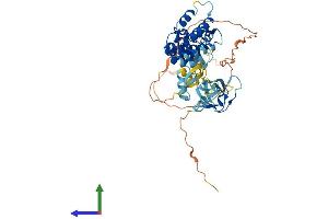Protein Structure (PS) image for NADPH Oxidase Activator 1 (NOXA1) (AA 1-476) protein (His tag) (ABIN7549840)