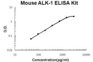 Mouse ALK-1/ACVRL1 PicoKine ELISA Kit standard curve