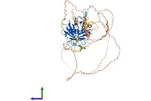 Protein Structure (PS) image for Tubby Like Protein 1 (TULP1) (AA 1-543) protein (His tag) (ABIN7565290)