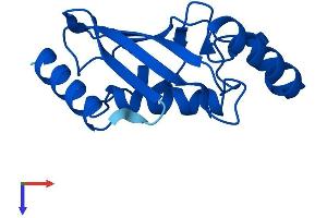 UBE2D2 Protein (AA 1-147) (His tag)