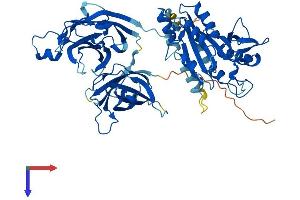 CPNE8 Protein (AA 1-564) (His tag)