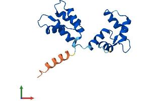AlphaFold protein structure predicition of Mouse Recombinant Cetn3 Protein, UniprotID O35648