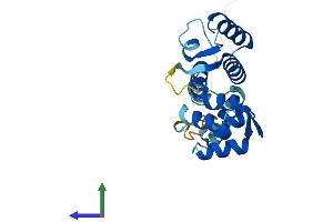 Protein Structure (PS) image for Ropporin, Rhophilin Associated Protein 1B (ROPN1B) (AA 1-212) protein (His tag) (ABIN7551488)