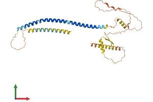 Protein Structure (PS) image for Coiled-Coil Domain Containing 54 (CCDC54) (AA 1-328) protein (His tag) (ABIN7552938)
