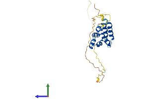 Protein Structure (PS) image for EDAR-Associated Death Domain (EDARADD) (AA 1-208) protein (His tag) (ABIN7559939)