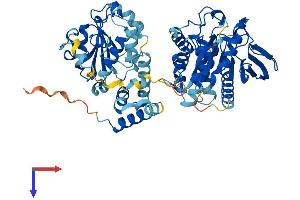 PTPN9 Protein (AA 1-593) (His tag)