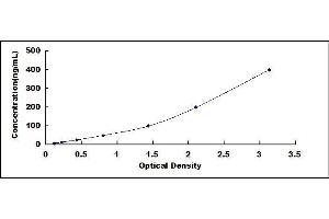 ELISA image for Lactotransferrin (LTF) ELISA Kit (ABIN416168)