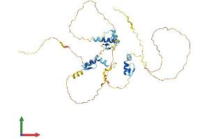 AlphaFold protein structure predicition of Human Recombinant ZNF385A Protein, UniprotID Q96PM9 (ZNF385A Protein (AA 1-386) (His tag))