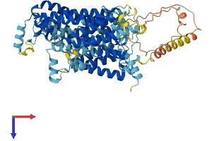 SLC7A2 Protein (AA 1-657) (His tag)