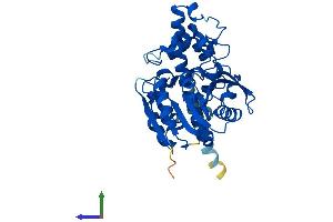 Protein Structure (PS) image for Epoxide Hydrolase 4 (EPHX4) (AA 1-362) protein (His tag) (ABIN7547452)