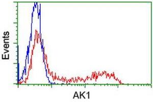 Flow Cytometry (FACS) image for anti-Adenylate Kinase 1 (AK1) antibody (ABIN1496514) (Adenylate Kinase 1 Antikörper)