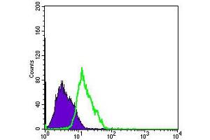 Flow cytometric analysis of PC-2 cells using MSI1 monoclonal antibody, clone 2A12  (green) and negative control (purple). (MSI1 Antikörper)