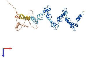 ZNF154 Protein (AA 1-437) (His tag)