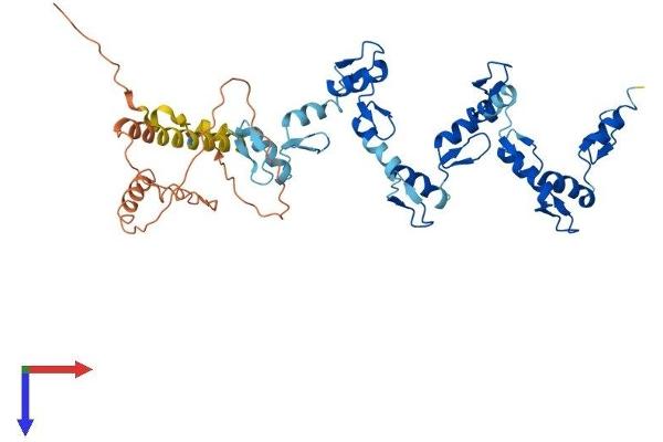 ZNF154 Protein (AA 1-437) (His tag)