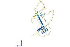 Protein Structure (PS) image for Msh Momeobox 2 (Msx2) (AA 1-267) protein (His tag) (ABIN7556876)