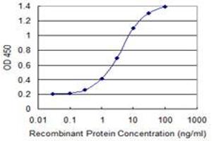 Detection limit for recombinant GST tagged PCDH8 is 0. (Protocadherin 8 Antikörper  (AA 32-120))