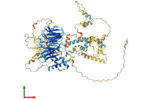 Protein Structure (PS) image for TATA Box Binding Protein (TBP)-Associated Factor, RNA Polymerase I, C, 110kDa (TAF1C) (AA 1-869) protein (His tag) (ABIN7555685)