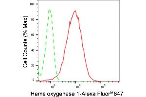 Flow cytometric analysis of Heme oxygenase 1 expression in HepG2 cells using Heme oxygenase 1 antibody (ABIN7798885), 1:2,000).