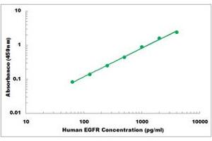 Representative Standard Curve (EGFR ELISA Kit)