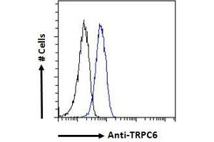 ABIN185460 Flow cytometric analysis of paraformaldehyde fixed A549 cells (blue line), permeabilized with 0.