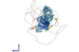 Protein Structure (PS) image for Topoisomerase (DNA) II alpha 170kDa (TOP2A) (AA 1-1528) protein (His tag) (ABIN7563577)