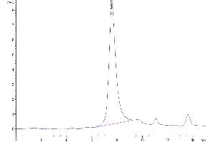 The purity of Biotinylated Human Apolipoprotein E is greater than 95 % as determined by SEC-HPLC. (ApoE3 Protein (AA 19-317) (His tag,Biotin))