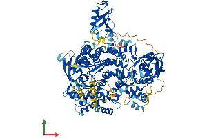 Protein Structure (PS) image for Phosphoinositide-3-Kinase, Catalytic, delta Polypeptide (PIK3CD) (AA 1-1043) protein (His tag) (ABIN7562384)