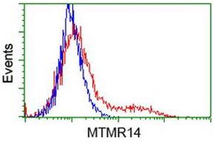 Flow Cytometry (FACS) image for anti-Myotubularin Related Protein 14 (MTMR14) antibody (ABIN1499588)
