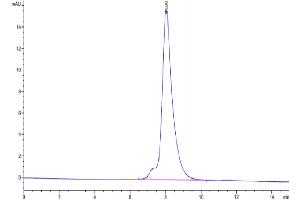 Size-exclusion chromatography-High Pressure Liquid Chromatography (SEC-HPLC) image for Inducible T-Cell Co-Stimulator (ICOS) (AA 21-141) protein (Fc Tag) (ABIN7274840)
