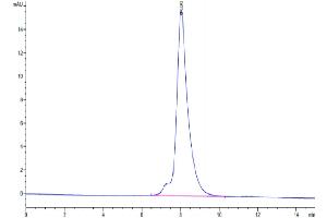 The purity of Human ICOS (Q50A) is greater than 95 % as determined by SEC-HPLC. (ICOS Protein (AA 21-141) (Fc Tag))