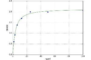 A typical standard curve (RBP1 ELISA Kit)