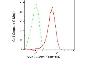Flow cytometric analysis of SNX9 expression in HeLa cells using SNX9 antibody (ABIN7800413), 1:2,000). (SNX9 Antikörper)