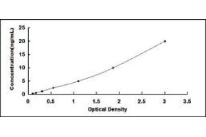 Typical standard curve (CRYBA1 ELISA Kit)