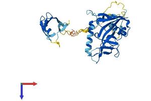 AlphaFold protein structure predicition of Mouse Recombinant Parp11 Protein, UniprotID Q8CFF0
