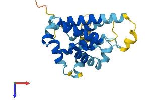BCL2L10 Protein (AA 1-191) (His tag)