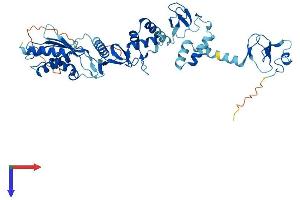 RNF14 Protein (AA 1-474) (His tag)