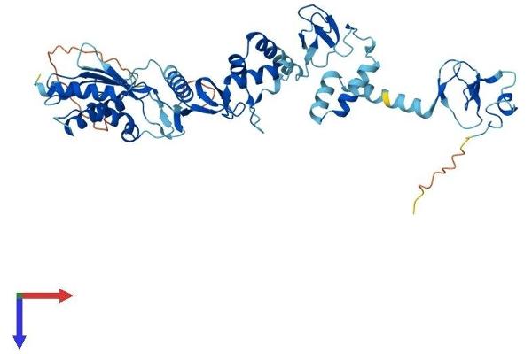 RNF14 Protein (AA 1-474) (His tag)