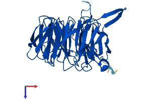 BUB3 Protein (AA 1-326) (His tag)