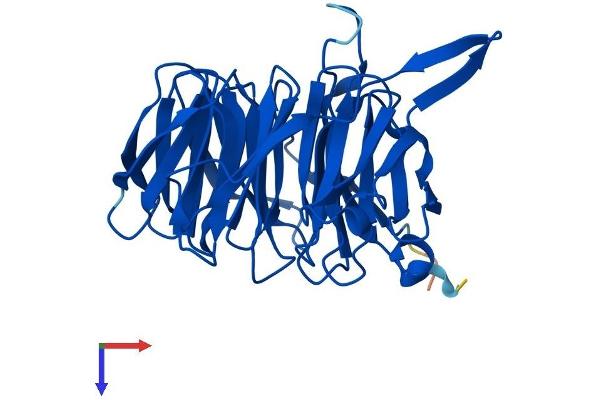 BUB3 Protein (AA 1-326) (His tag)