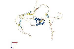 HOXB2 Protein (AA 1-356) (His tag)