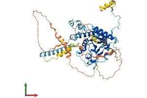Protein Structure (PS) image for DDHD Domain Containing 1 (DDHD1) (AA 1-547) protein (His tag) (ABIN7558435)
