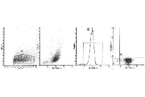 Image no. 1 for anti-Integrin, alpha E (Antigen CD103, Human Mucosal Lymphocyte Antigen 1, alpha Polypeptide) (ITGAE) antibody (PE) (ABIN1105730) (CD103 Antikörper  (PE))