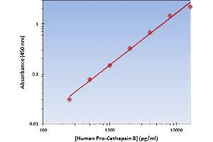 This is an example of what a typical standard curve will look like. (Pro-Cathepsin B ELISA Kit)