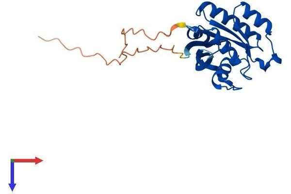 RAB5 Protein (AA 1-215) (His tag)