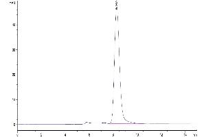 Size-exclusion chromatography-High Pressure Liquid Chromatography (SEC-HPLC) image for EPH Receptor A3 (EPHA3) (AA 21-541) protein (His tag) (ABIN7274564)