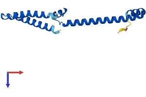 MED10 Protein (AA 1-135) (His tag)