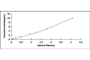 Typical standard curve (CLEC7A ELISA Kit)