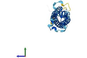 AlphaFold protein structure predicition of Human Recombinant TM4SF5 Protein, UniprotID O14894